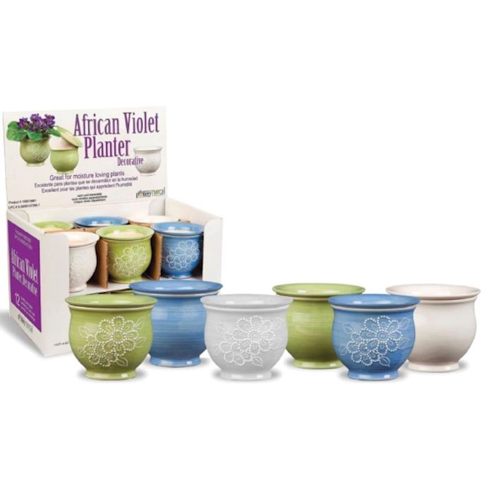 Pot African Violet Self-Watering 5x5 Assorted