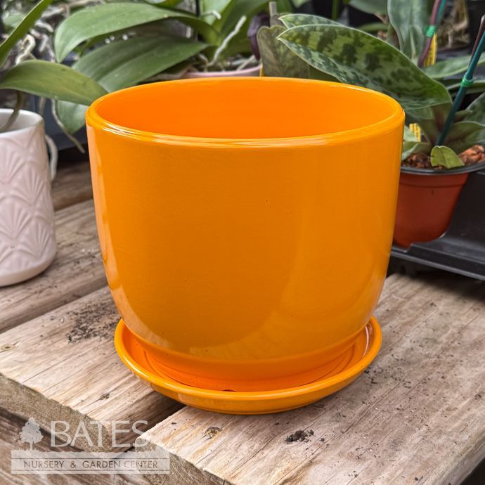 Pot Round Planter w/Saucer Med 6x5 Orange Glaze