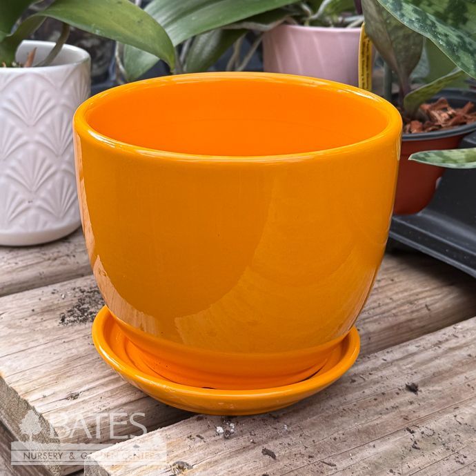 Pot Round Planter w/Saucer Sml 4x4 Orange Glaze