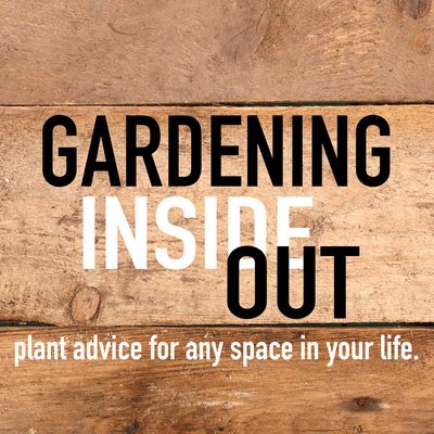 Gardening Inside Out - Featured