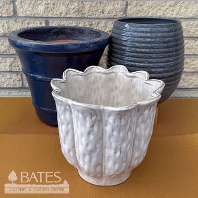 Medium (9-17" wide)