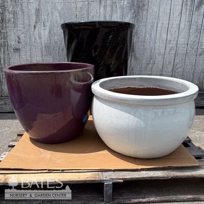 Large (18-24" wide)