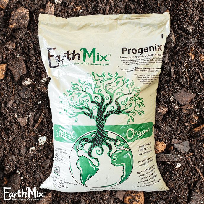 Earth Mix ぬいぐるみ　Earthmix アスミク 4438928784.jpg