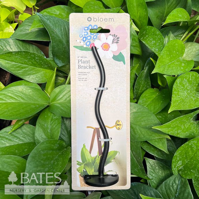 Plant Hanger/Bracket /Hook Ripple Black Bloem