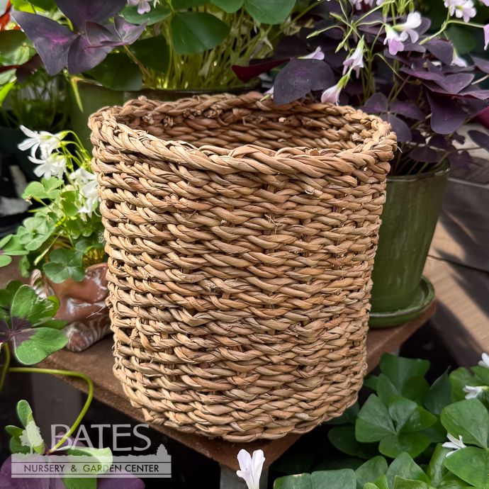 Pot Seagrass Handmade Potcover Med 6.5x6.5 Natural Brown