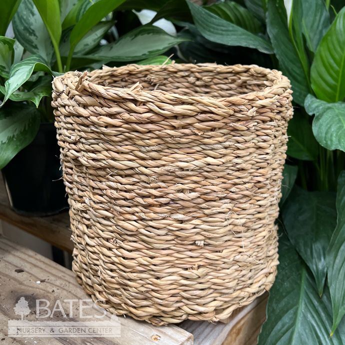 Pot Seagrass Handmade Potcover Lrg 8x8 Natural Brown