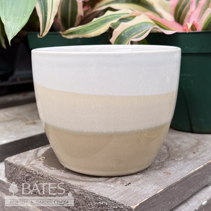 Pot Glazed Egg 3-Tone 4.5x3.5 Multi