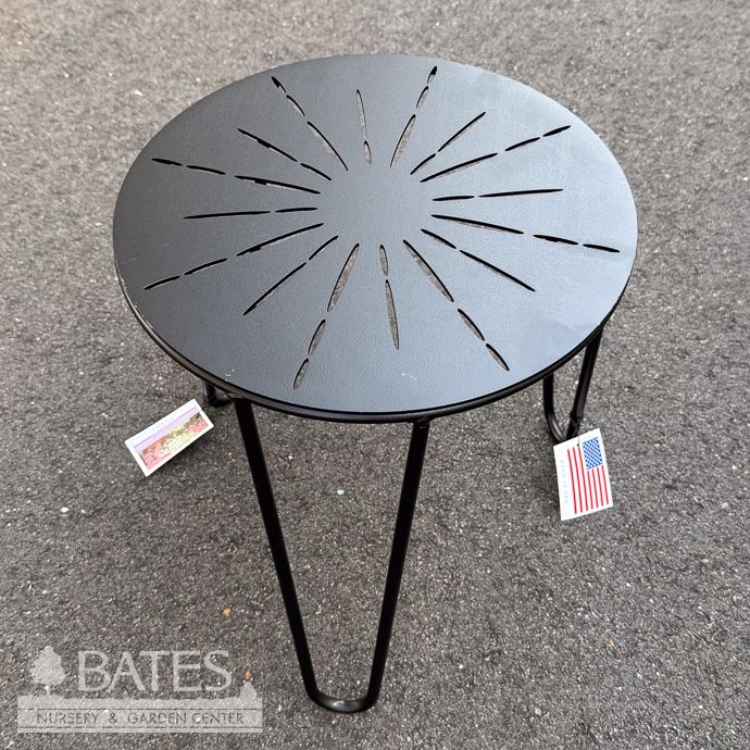 Orion Plant Stand Sml 13x15 Black Metal