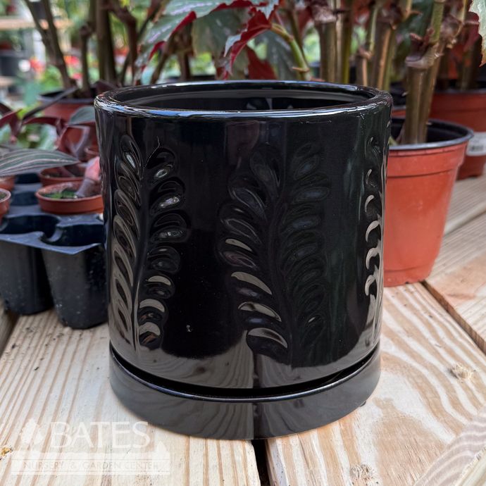 Pot Janna Cyinder w/Leaf Decor Lrg 6x6 Black