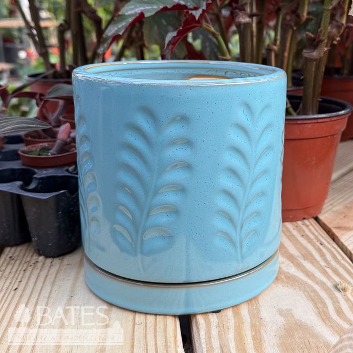Pot Janna Cyinder w/Leaf Decor Lrg 6x6 Celedon