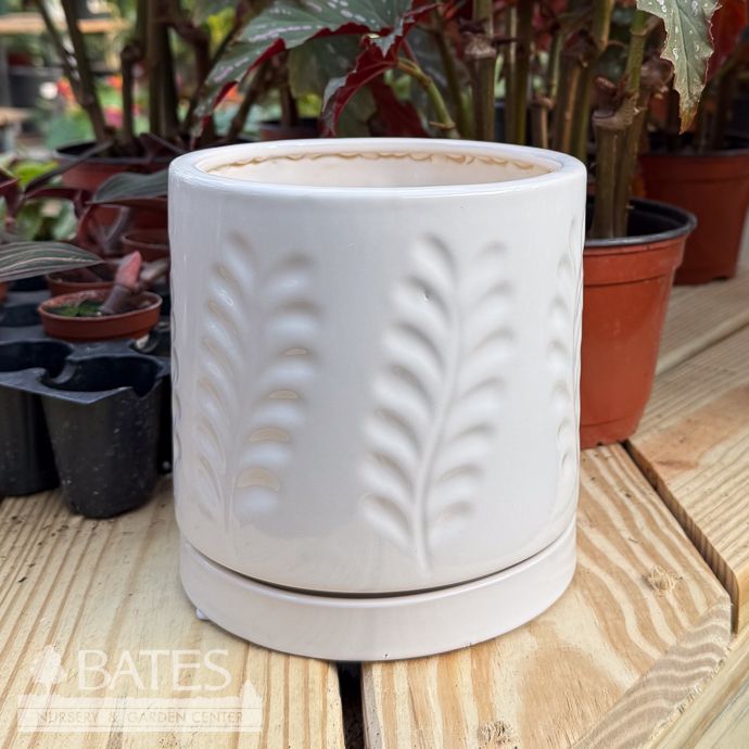 Pot Janna Cyinder w/Leaf Decor Lrg 6x6 White