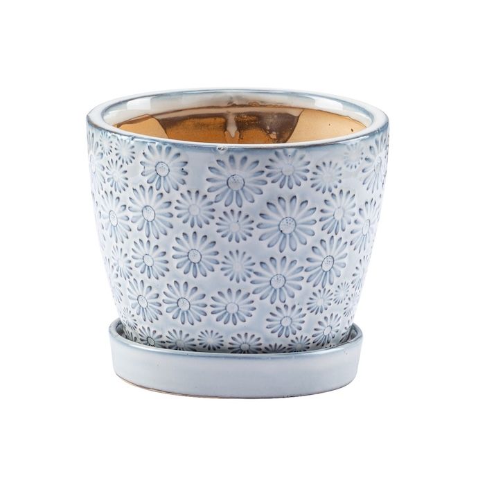 Pot Embossed Daisy Planter w/Saucer Sml 4.75x4 White/Blue