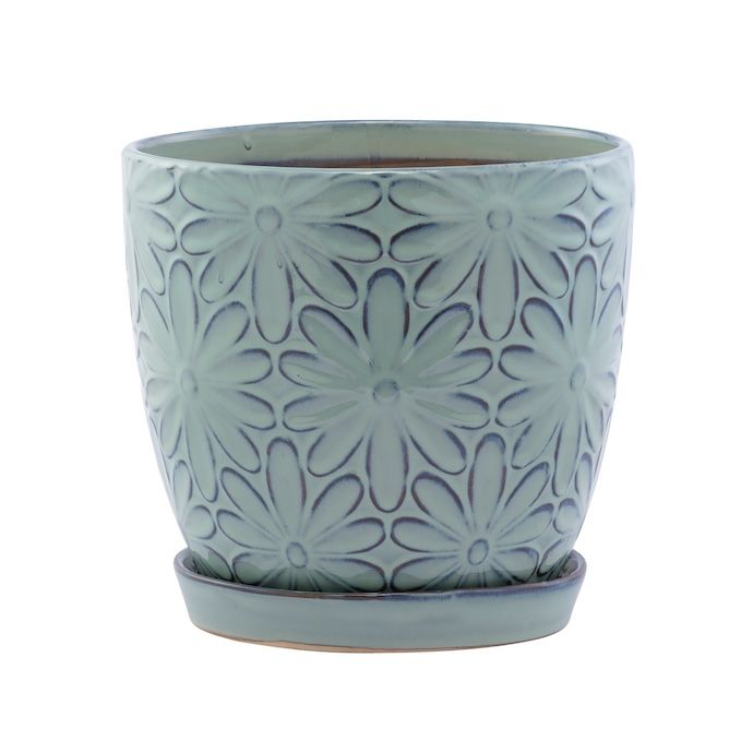 Pot Big Daisy Planter w/Saucer Lrg7x6.75 Blue