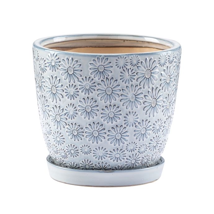 Pot Embossed Daisy Planter w/Saucer Lrg7x6.75 White/Blue