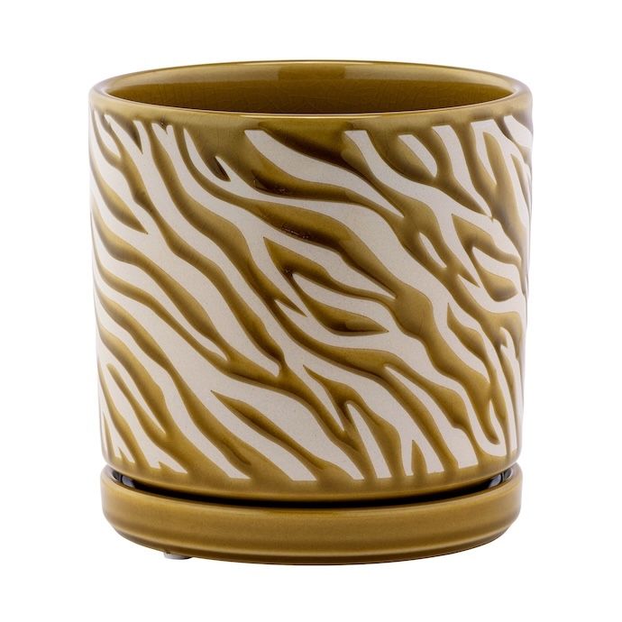 Pot Swirl Design w/Saucer 5.5x5 Gold/Cream