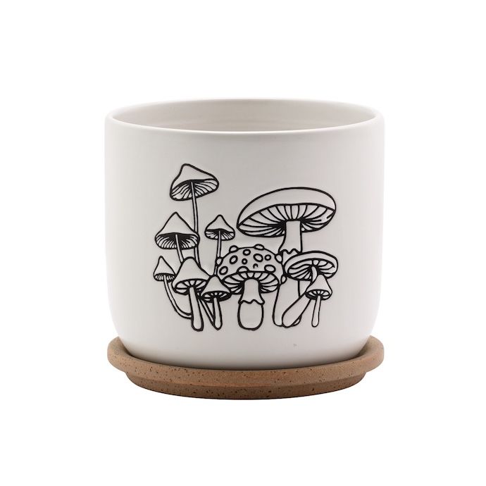 Pot Mushroom Cylinder w/Saucer 5.5x5  Black/White