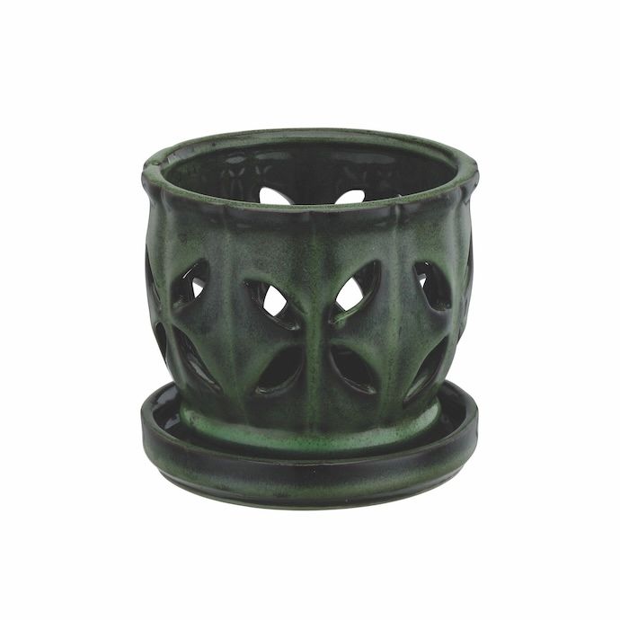 Pot Orchid Butterfly Cuts w/Saucer 4.75x4 Asst