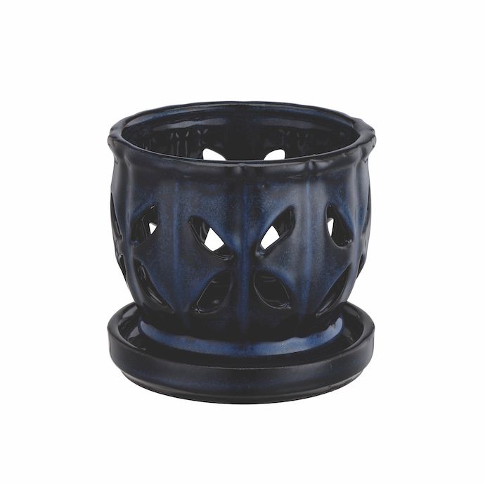 Pot Orchid Butterfly Cuts w/Saucer 4.75x4 Asst