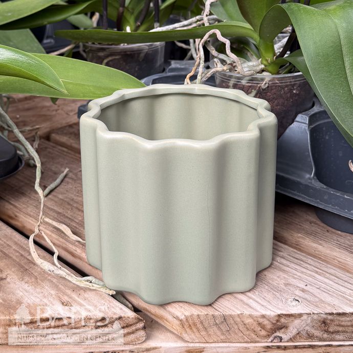 Pot Wavy Planter Lrg 5x5 Green
