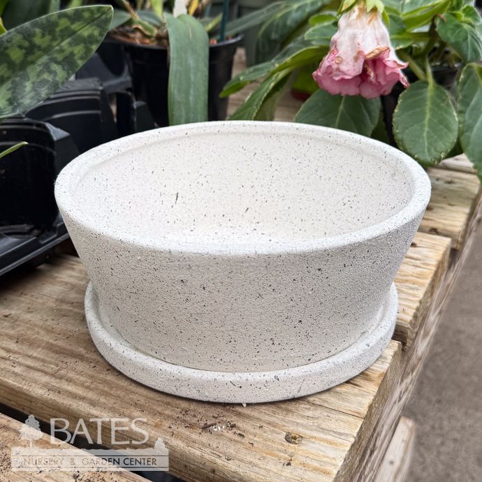 Pot Dish Garden w/Saucer 8x3 Asst