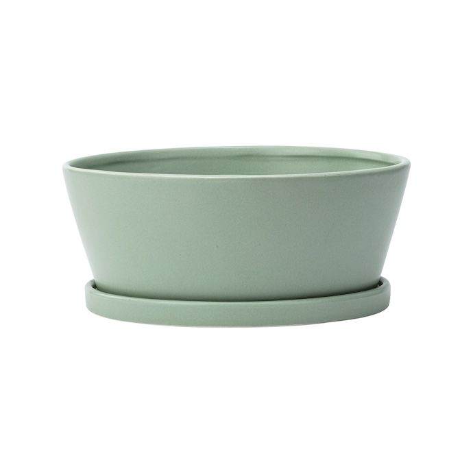 Pot Dish Garden w/Saucer 8.5x3  Green