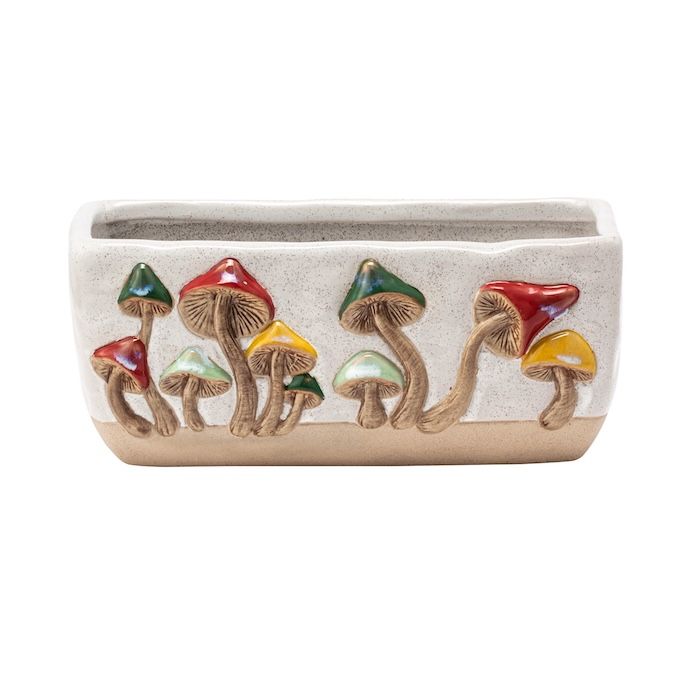 Pot Bright Mushrooms Rectangle 8x3 Multi