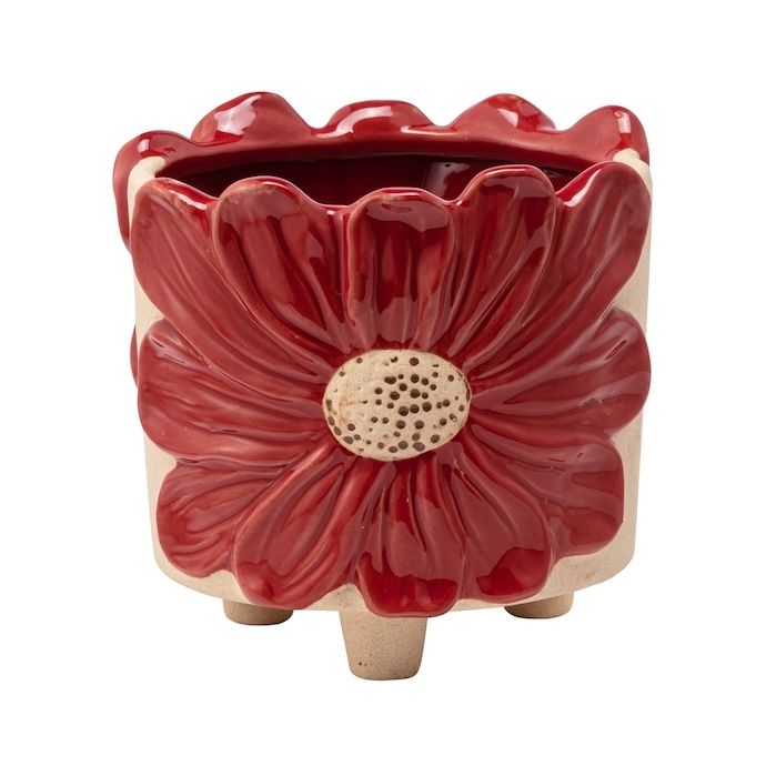 Pot Red Daisy Wrap w/Legs 4x4