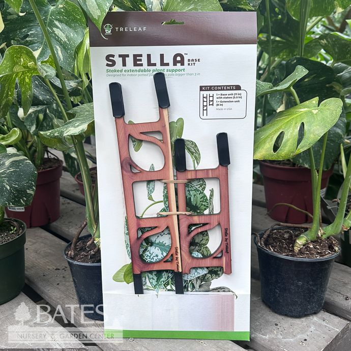 Plant Support Stella Ladder Reg Kit Modular 19&quot; Total Cedar Treleaf