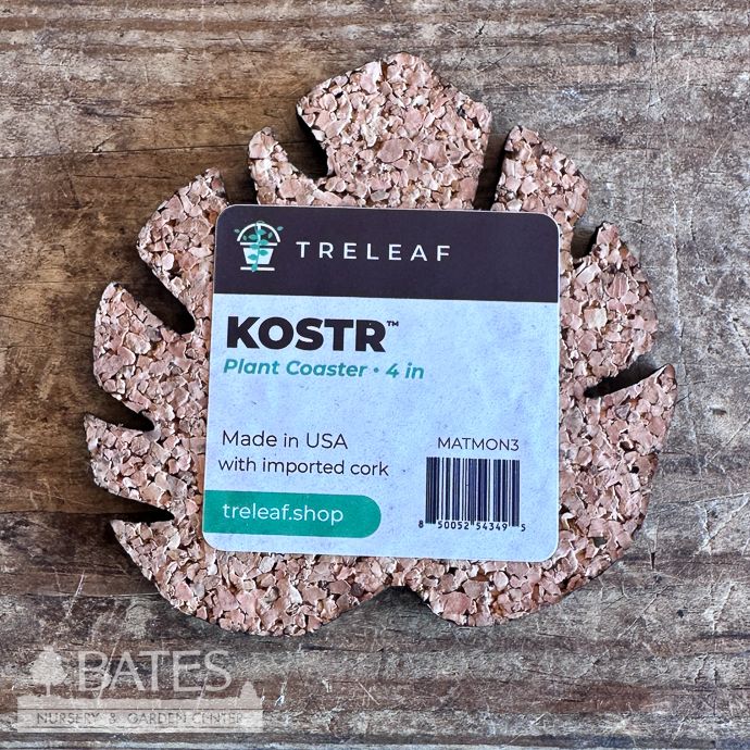 Saucer 4" Kostr Cork Coaster / Plant Mat Monstera Leaf Treleaf