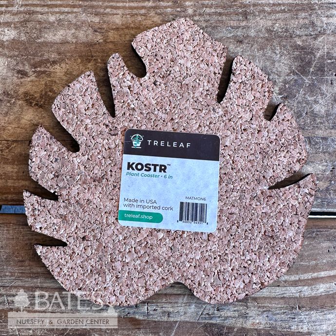Saucer 6" Kostr Cork Coaster / Plant Mat Monstera Leaf Treleaf
