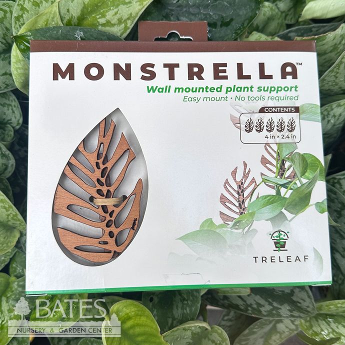 Wall Mount Hooks 5pc Monstrella /Monstera Leaf Cherry Treleaf