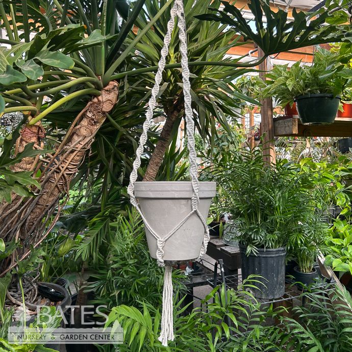 Plant Hanger 40" Macrame Twisted Woven Primitive Planters