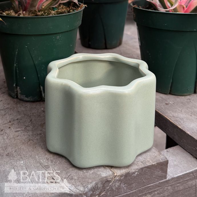 Pot Wavy Planter Sml 3x2.5 Green