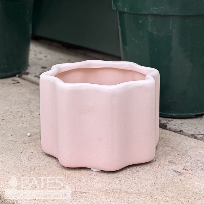 Pot Wavy Planter Sml 3x2.5 Pink