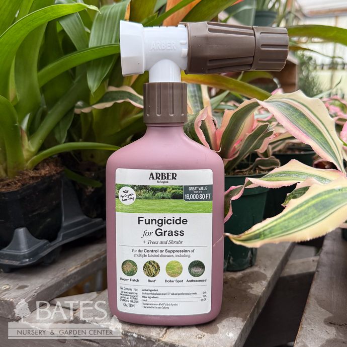 Arber Fungus Control Lawn, Tree &amp; Shrub Fungicide 16oz RTS Organic