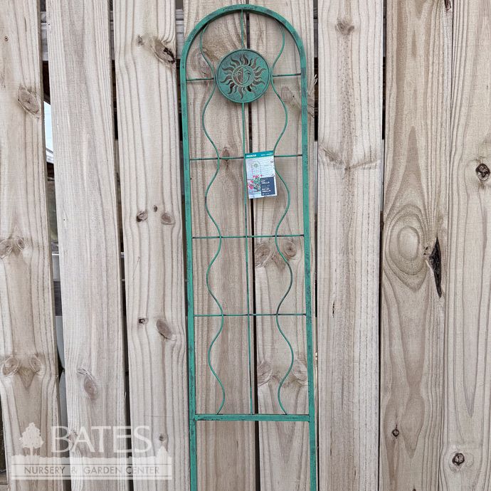 Pot Trellis SunFace 48x11 Panacea