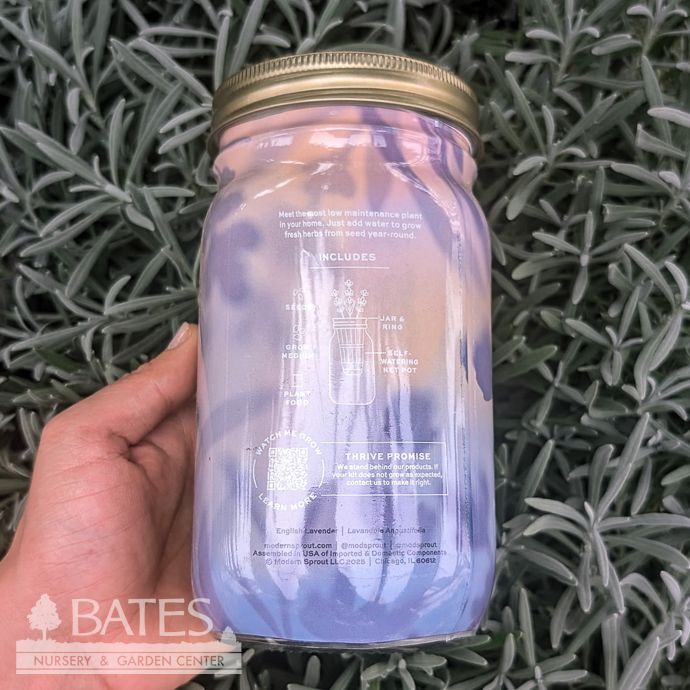 Lavender Garden Hydroponic Jar Seed Kit