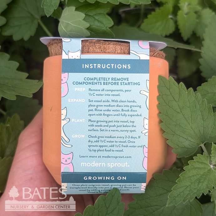 Curious Catnip Tiny Terracotta Grow Seed Kit