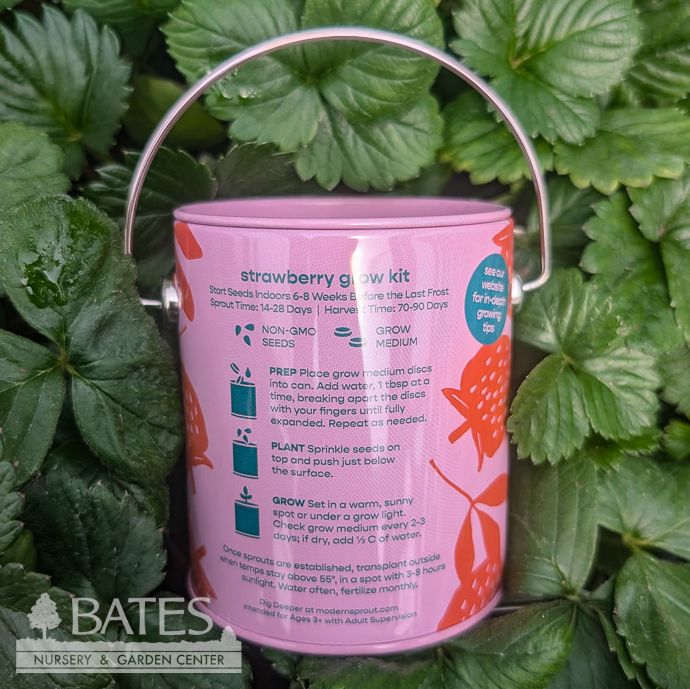 Seed Grow Kit You Are My Jam Strawberry Can