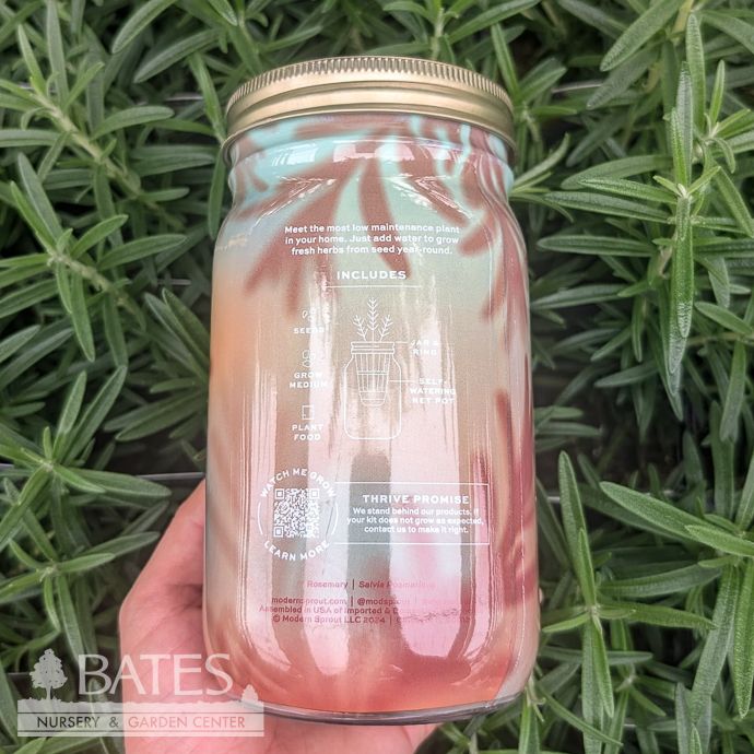 Rosemary Garden Hydroponic Jar Seed Kit