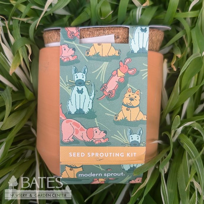 Good Dog Greens Tiny Terracotta Grow Seed Kit