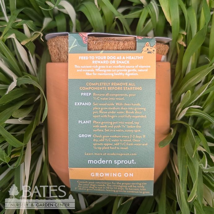 Good Dog Greens Tiny Terracotta Grow Seed Kit