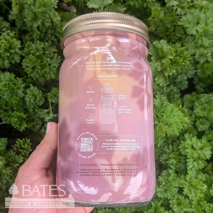 Parsley Garden Hydroponic Jar Seed Kit