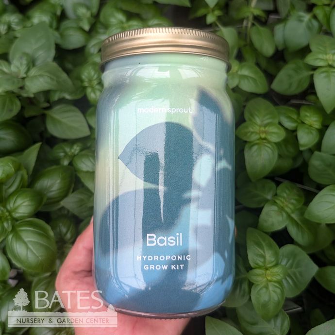 Basil Garden Hydroponic Jar Seed Kit