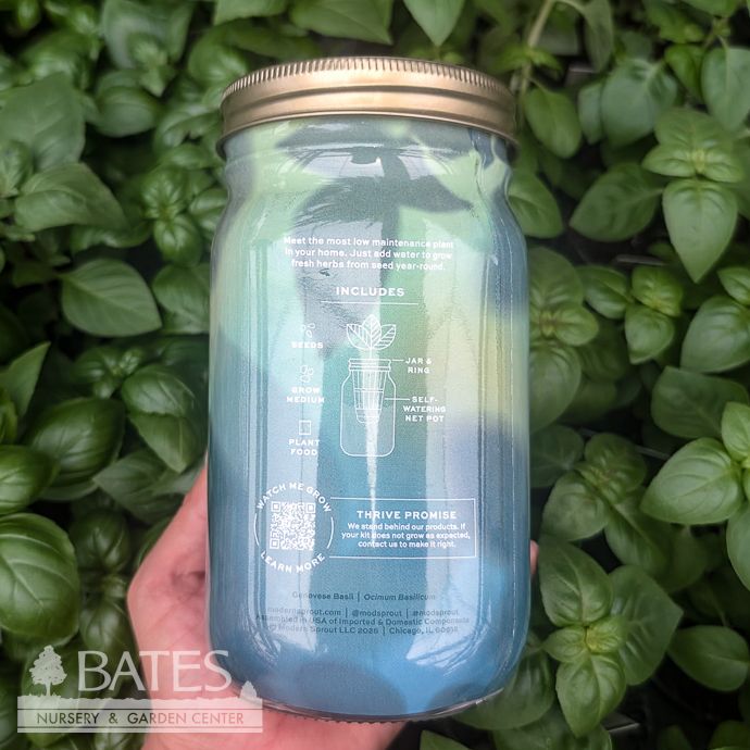 Basil Garden Hydroponic Jar Seed Kit