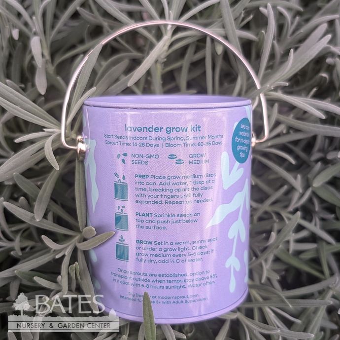 Seed Grow Kit Stay Zen Friend English Lavender Can
