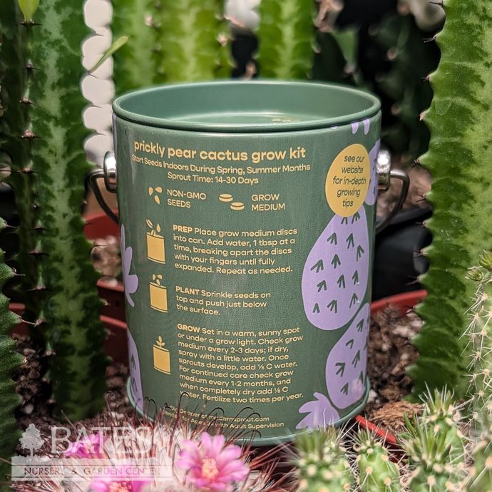 Seed Grow Kit Stuck on You Prickly Pear Cactus Can