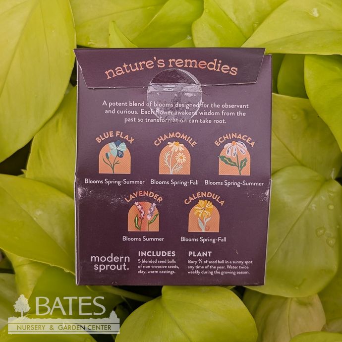 The Alchemist's Garden Flower Seed Balls - Bespoke Blooms 5/pk