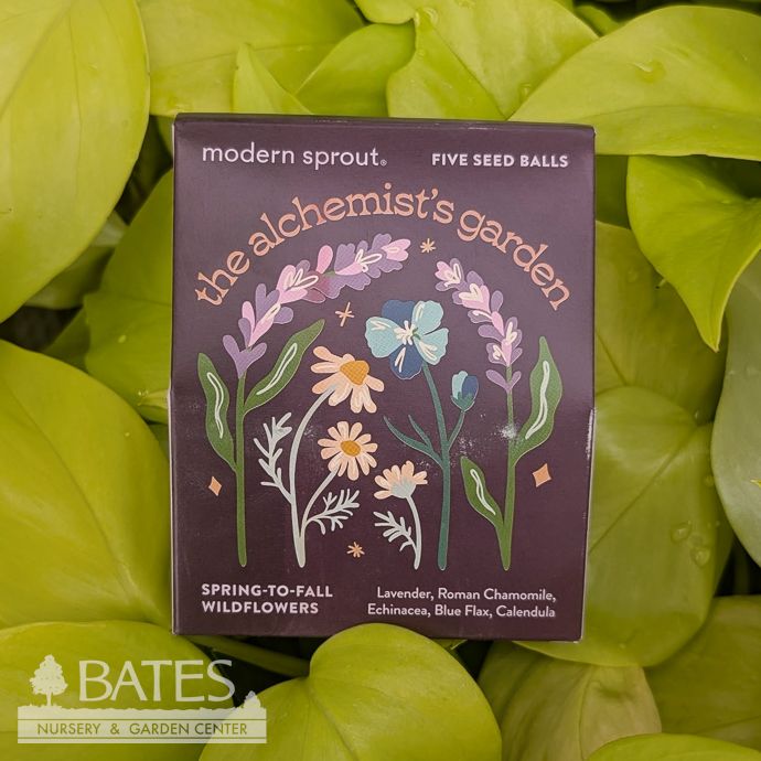 The Alchemist's Garden Flower Seed Balls - Bespoke Blooms 5/pk
