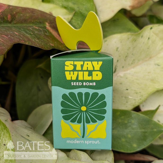Stay Wild Wildflower Seed Bomb